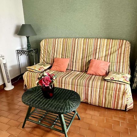 Studio A Argeles-Sur-Mer, 400M De La Plage Et Proche Commerces, Loggia, Animaux Bienvenus, Menage Inclus - Fr-1-225-548 Dış mekan fotoğraf